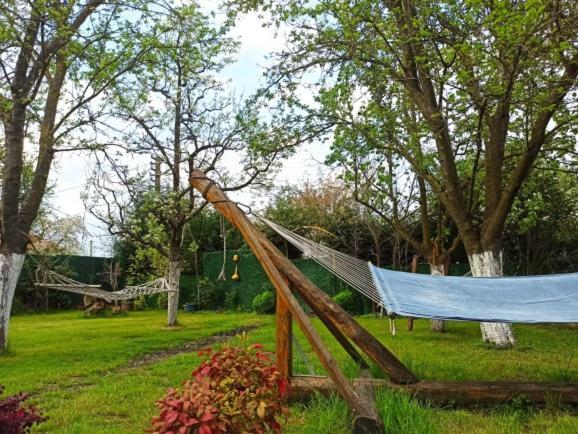 Villa Atlas Muhafazakar Havuzlu, Mustakil Genis Bahceli Sapanca Extérieur photo