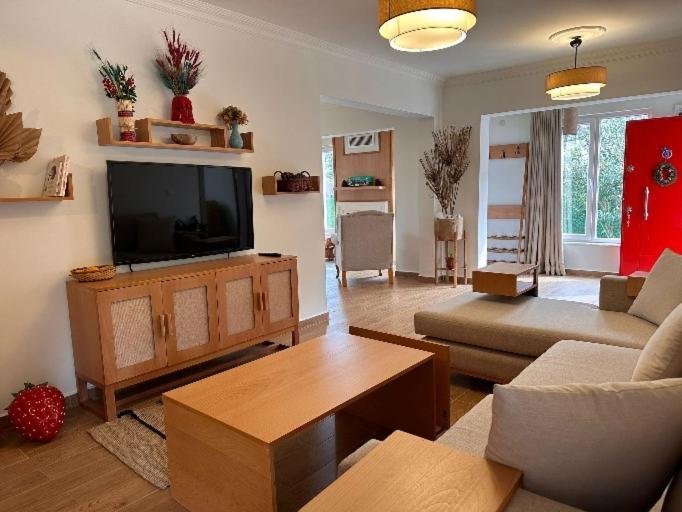 Villa Atlas Muhafazakar Havuzlu, Mustakil Genis Bahceli Sapanca Extérieur photo